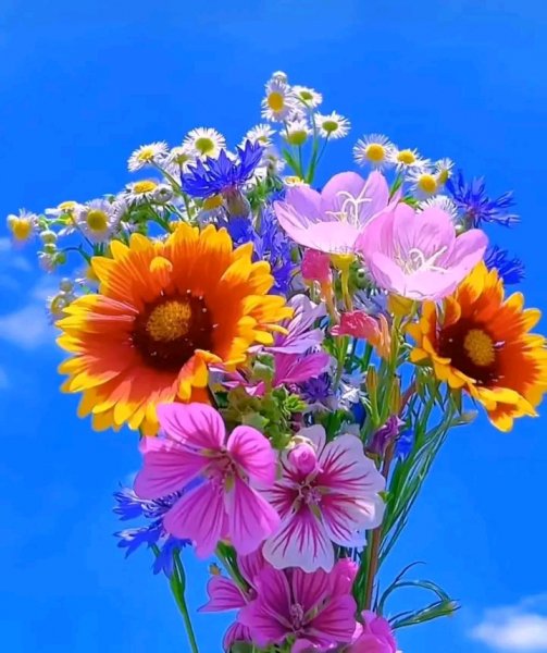 file_96969143