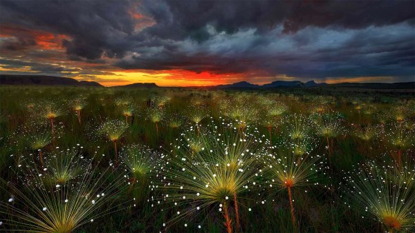 Desktop Wallpapers HD Part (477)