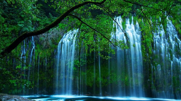 file_100773899