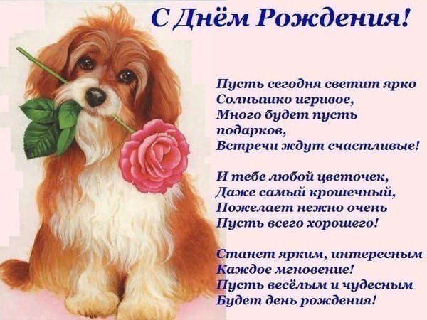 file_81279129
