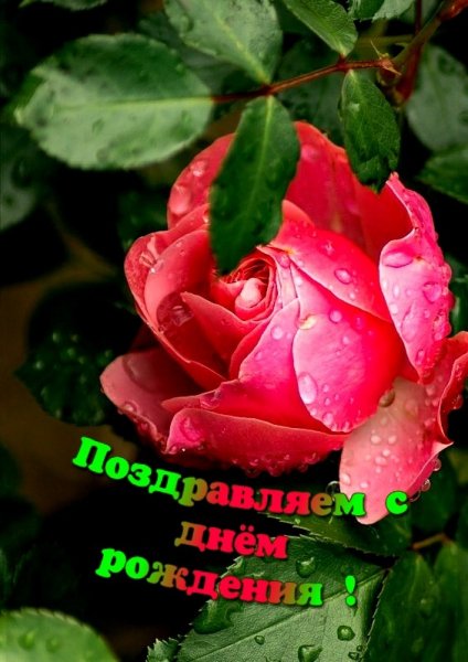 file_80655336
