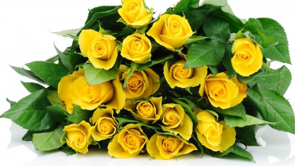 Image (54)