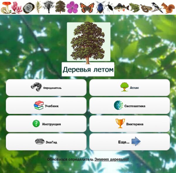 Деревья летом.ver.3.02
