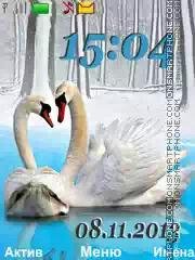 swans