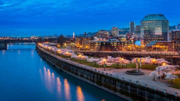 PortlandBlossoms ROW4378783991 UHD