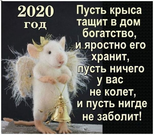 QNEIPUdbpIc
