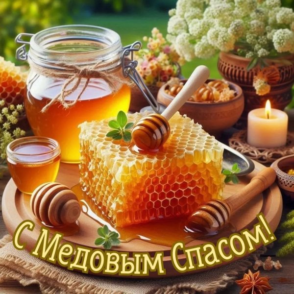 IMG 20260814 090815 811