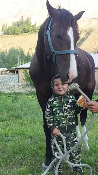 FB IMG 15977583295845524
