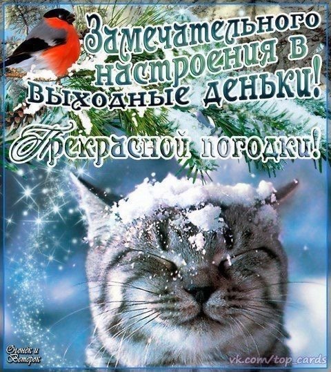file_92548569