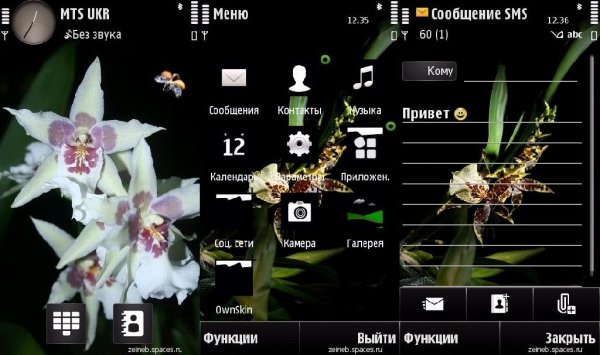 Орхидеи v1 от Nikorstin
