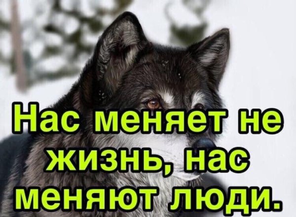 IMG 20260116 200510