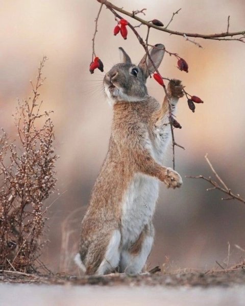 file_95205079