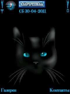 BlackCat yI