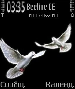 pigeon 0 1