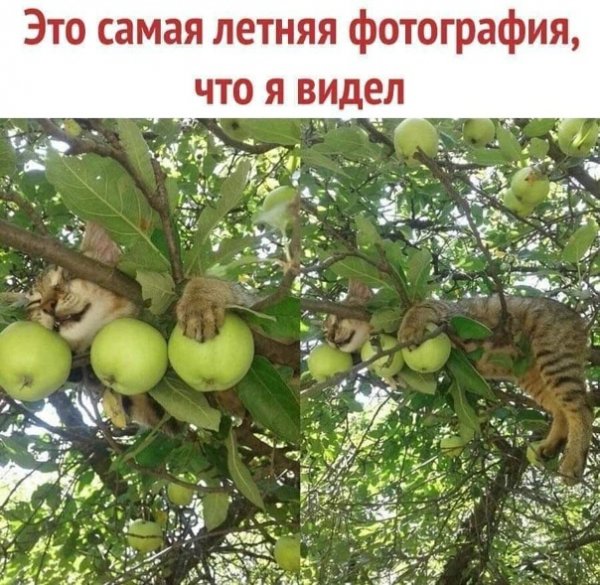 TvTWhI02NQ0