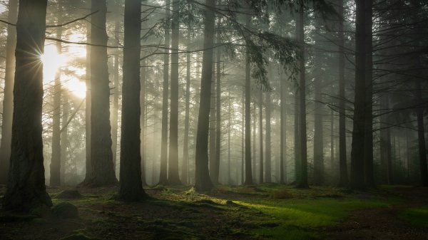 file_95024694