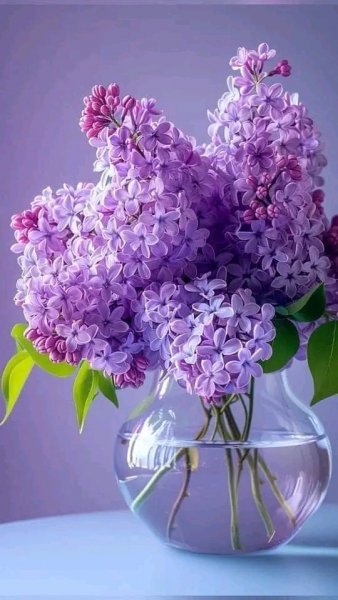 file_96281013