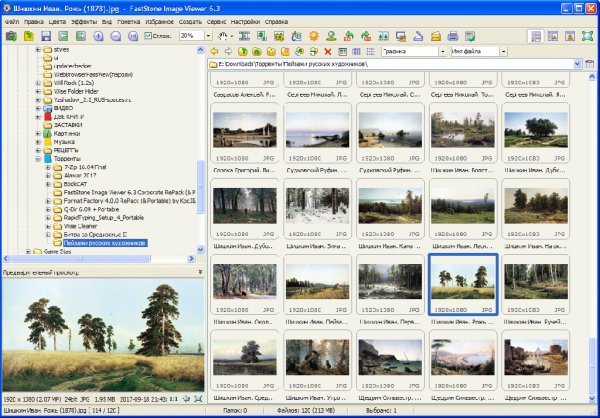 FastStone Image Viewer 6.3 (&amp; Portable)