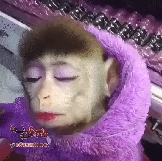 gif 1488965300