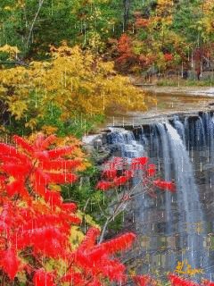 file_58901936