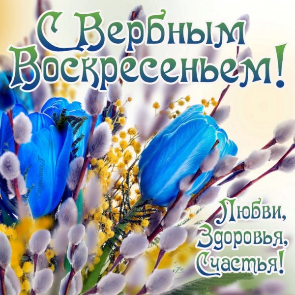 IMG-20210425-WA0007