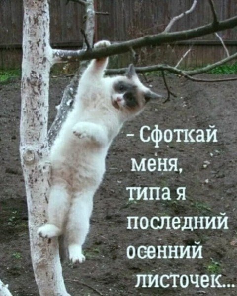 file_94791821