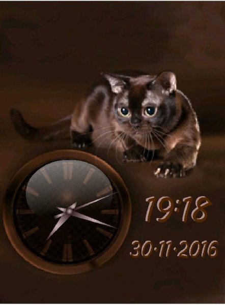 Шоколадка