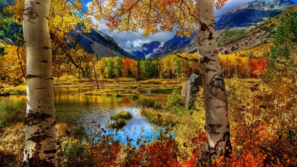 file_59459594