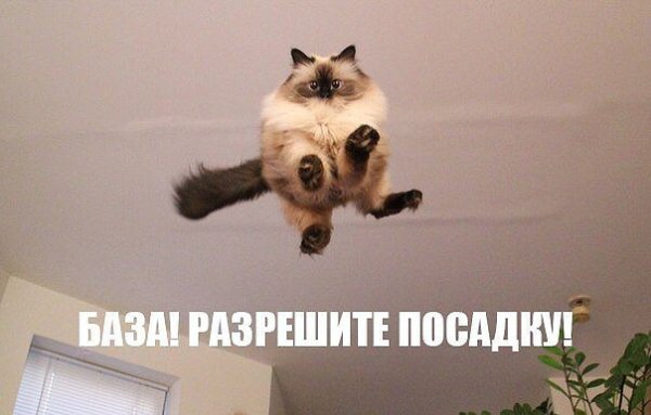 file_89399210