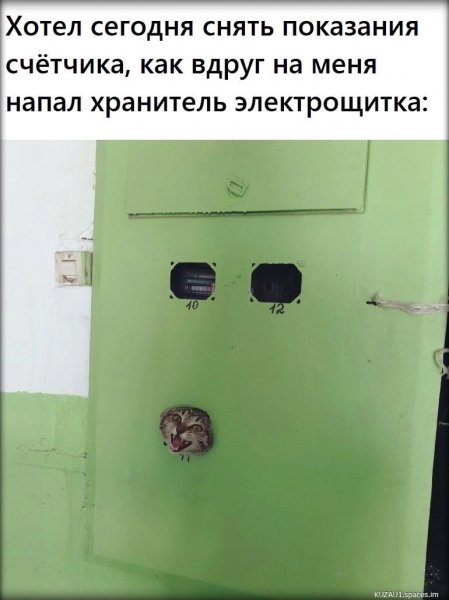 Dk2GJGDGzN4-