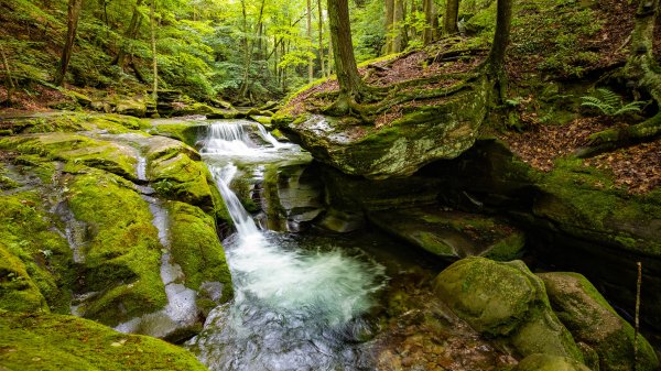 BearHoleBrook ROW4427243935 UHD
