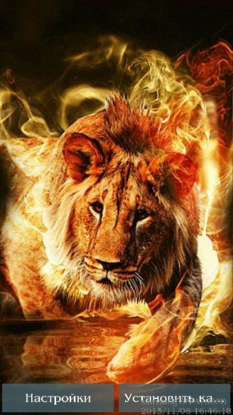 Fire-lion-live-wallpaper---v-1-1 1