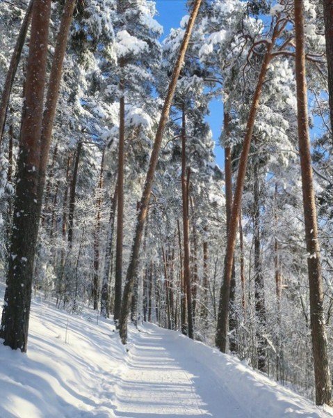 file_95402922