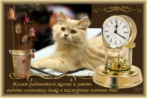 image (98)