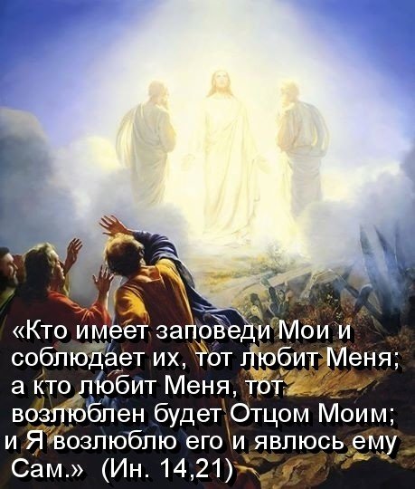7ffda33d6a86f878017b3d06d1ef42b6 i-10061
