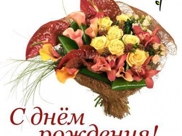 file_81299356