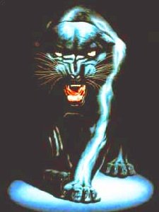 Panther Animated