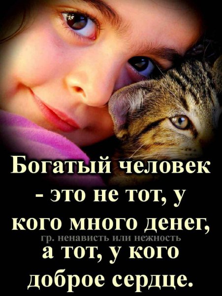 file_87991840