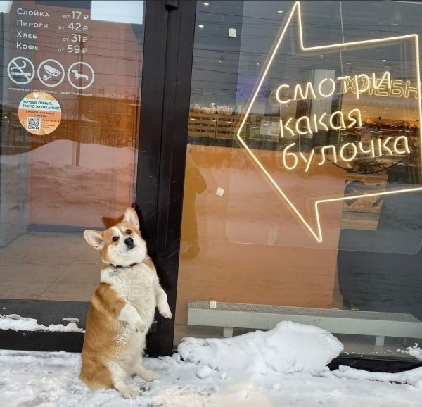 file_101457228