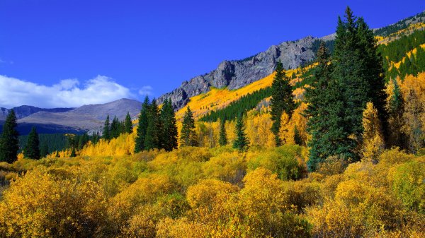 file_89081740