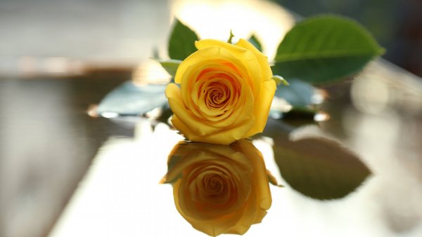 Image (14)