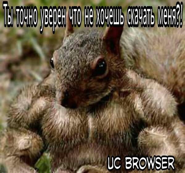 UCBrowser V8.9.0.251 JAVA pf69 (en-us) r