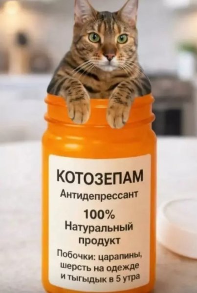 file_103443874