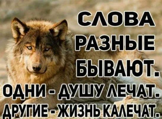 Слова