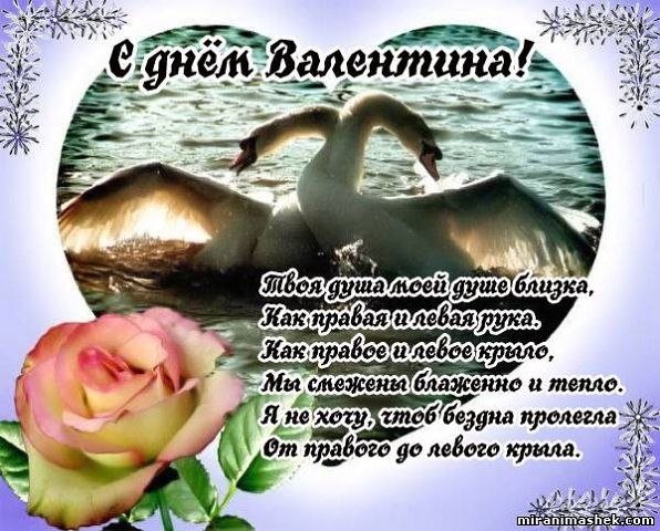 CsopuQDF6OQ