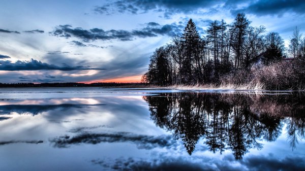 file_100853594