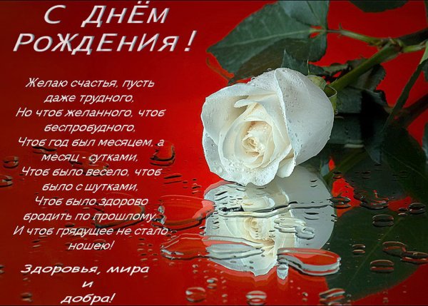 file_81297533