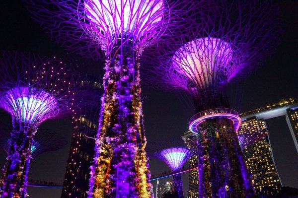 Supertrees by night