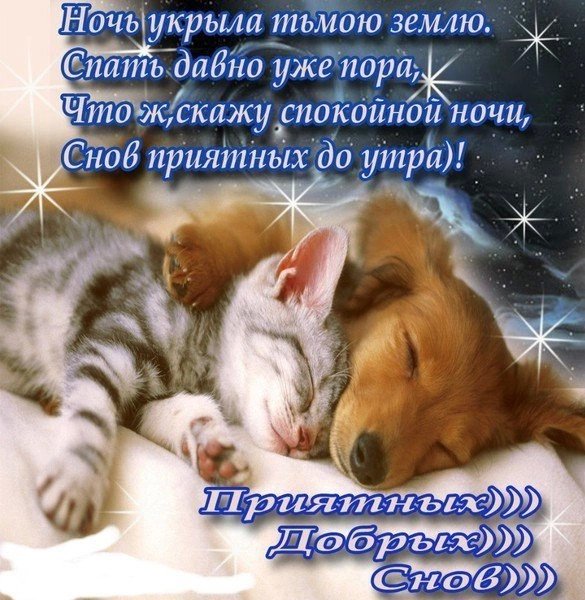 Приятных снов, друзья!