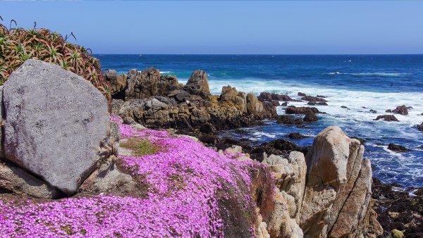 B54 wl asilomarbeachcalifornia 1916300426 1920x1080